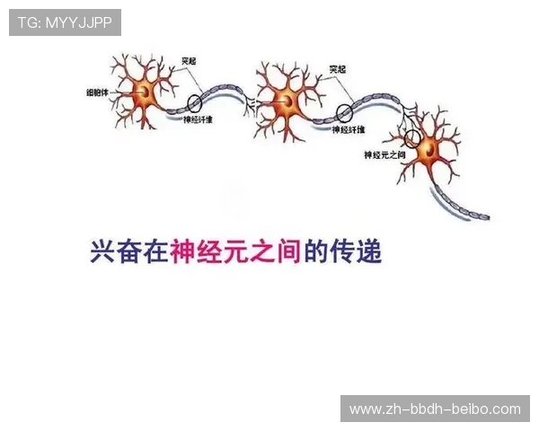足球肌肉激活方法在比赛前提升球员神经纤维反应速度的作用